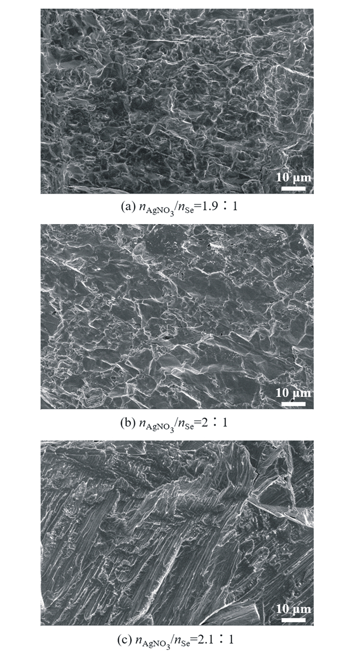 不同nagno3/nse的硒化银块体断面sem图